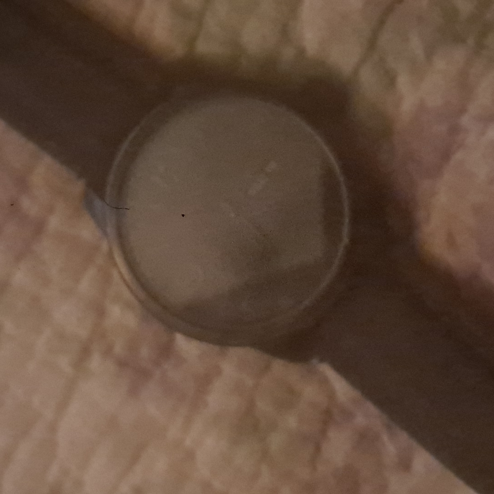 Citizens eco drive - Picture 2 of 2